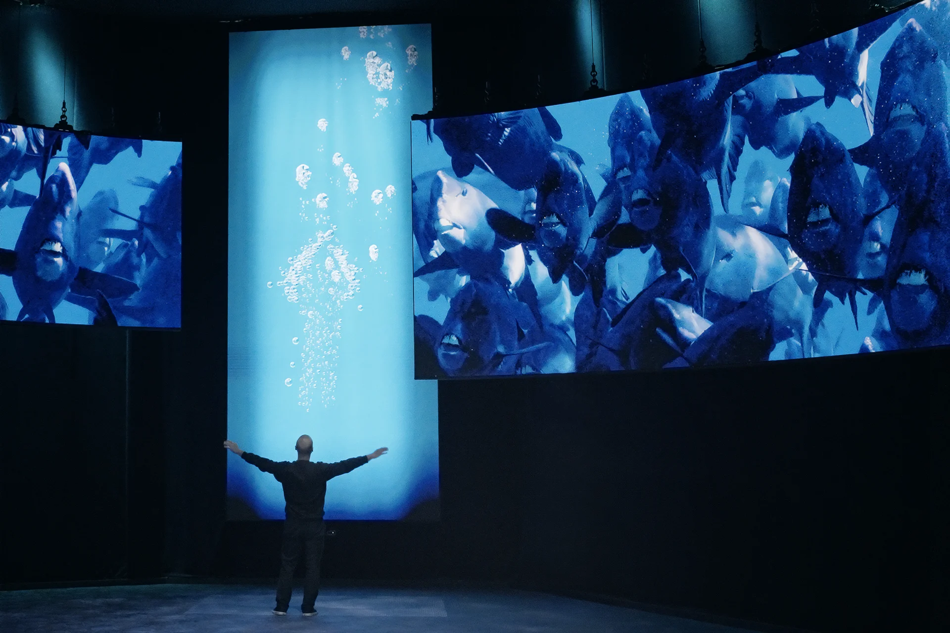 BBC BEE Screenshots 3x2 3