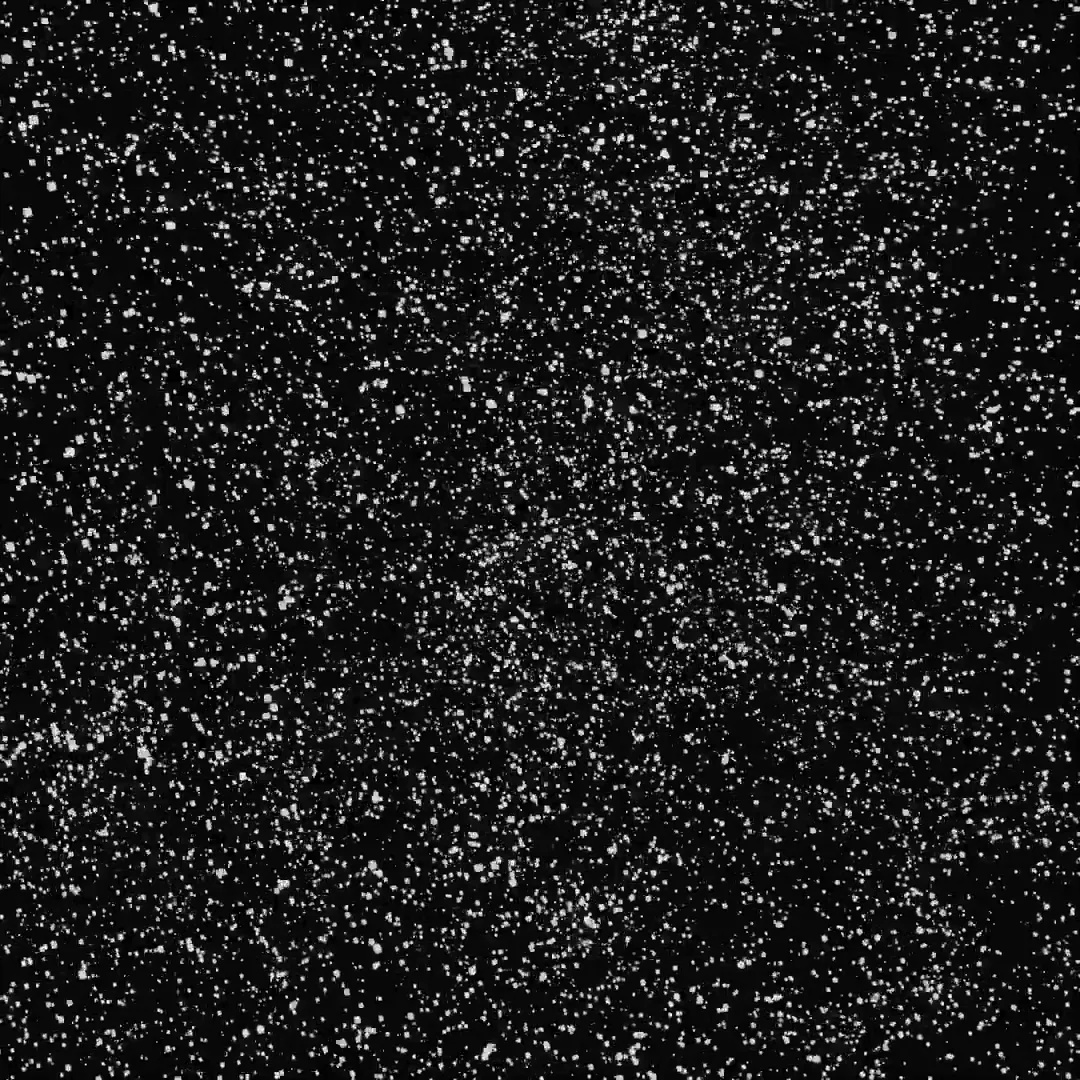 Genuary 2026 — Day 16