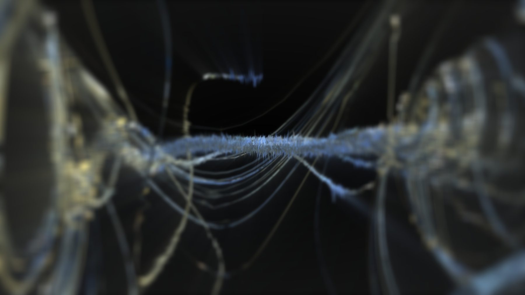 Strange Attractors - Image 5